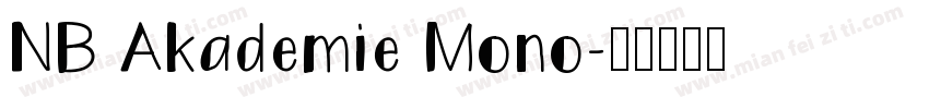 NB Akademie Mono字体转换